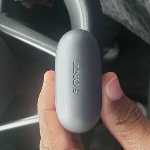 Sony Gray Wireless Earbuds